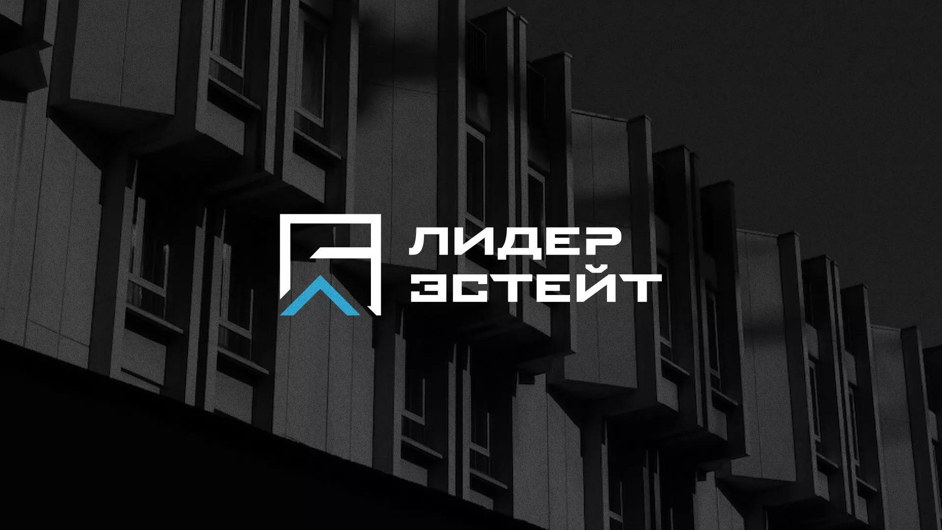 Разработка логотипа агентства недвижимости «Лидер Эстейт» в Северо-Курильске